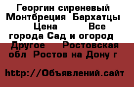 Георгин сиреневый. Монтбреция. Бархатцы.  › Цена ­ 100 - Все города Сад и огород » Другое   . Ростовская обл.,Ростов-на-Дону г.